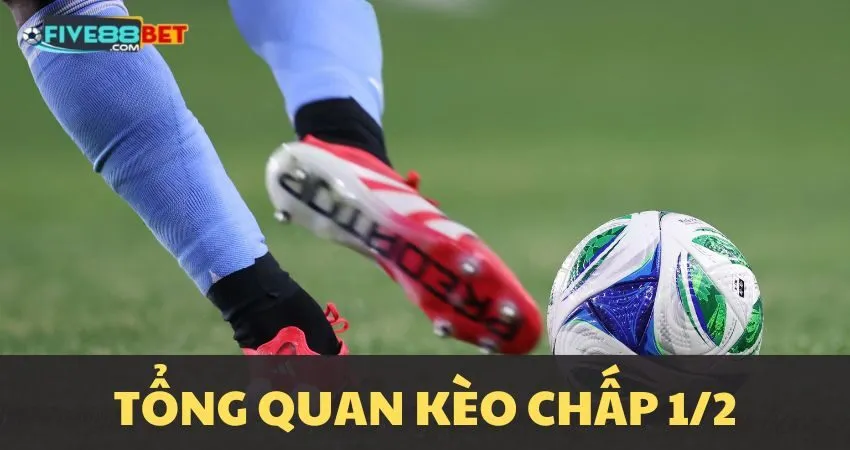 Kèo chấp 1/2 là gì?